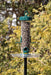 Tube Solution Seed Tray attached to Tube Solution 150 feeder and pole mounted