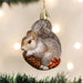 Hungry Squirrel Ornament on Tree