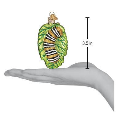 Fuzzy Caterpillar Ornament Hand for Scale