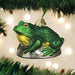 Bull Frog Ornament On Tree