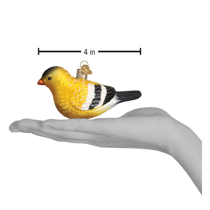 American Goldfinch Ornament Hand for Scale