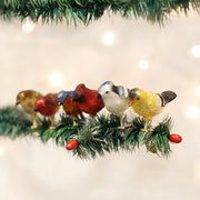 Assorted Miniature Songbirds on Tree