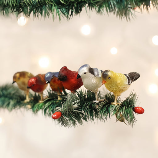 Assorted Miniature Songbirds on Tree