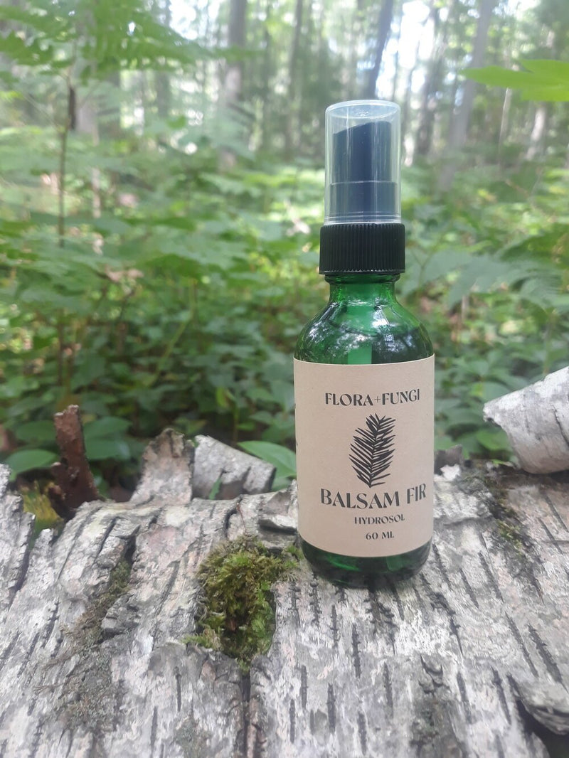 Balsam Fir Hydrosol