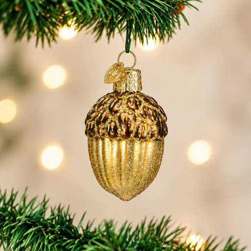 Acorn Ornament On Tree