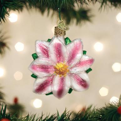 Clematis Ornament on Tree