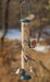 Quick-Clean Seed Tube Feeder - Large - Spruce