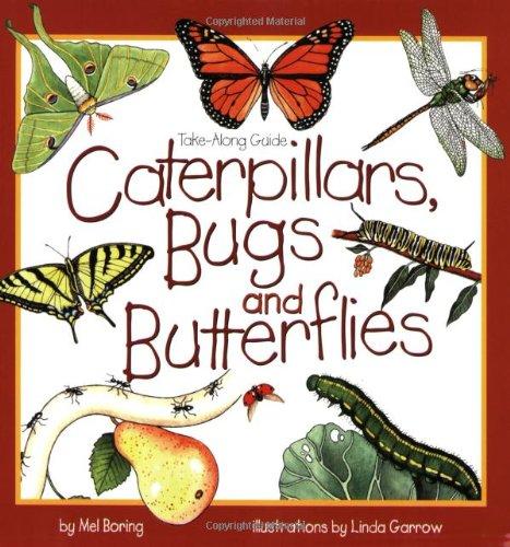 Caterpillars Bugs and Butterflies book