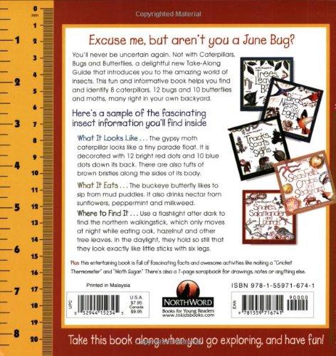 back of Caterpillars Bugs and Butterflies book