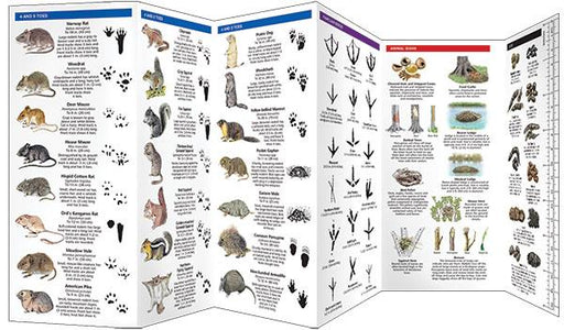 Guide book for animal tracks