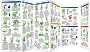 Edible plants field guide