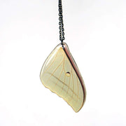 luna moth necklace