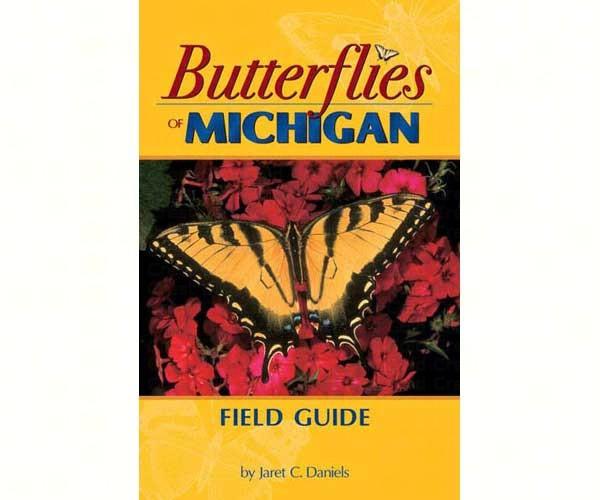 Butterflies Michigan Field Guide