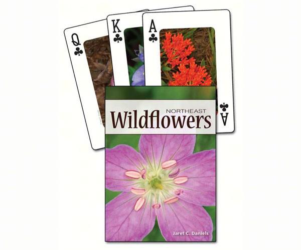 Wildflowers of the Northeast Playing Cards