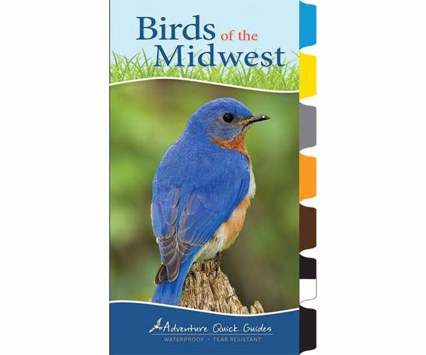 Birds of the Midwest Quick Guide — Nature Niche