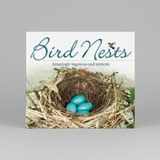 Bird Nests