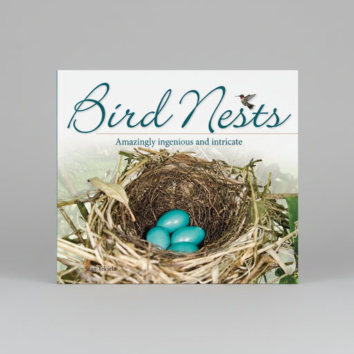Bird Nests