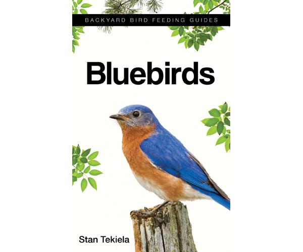 bluebirds guidebook 