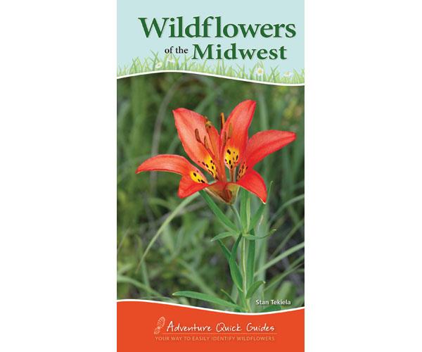 Wildflowers of the Midwest quick guide