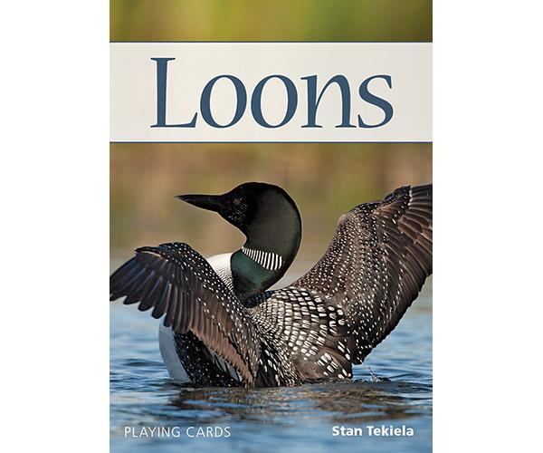 Loons Playing Cards