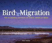 Bird Migration