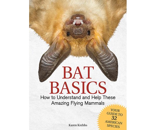 Bat Basics
