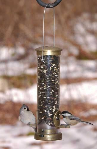 Quick-Clean Seed Tube Feeder - Small
