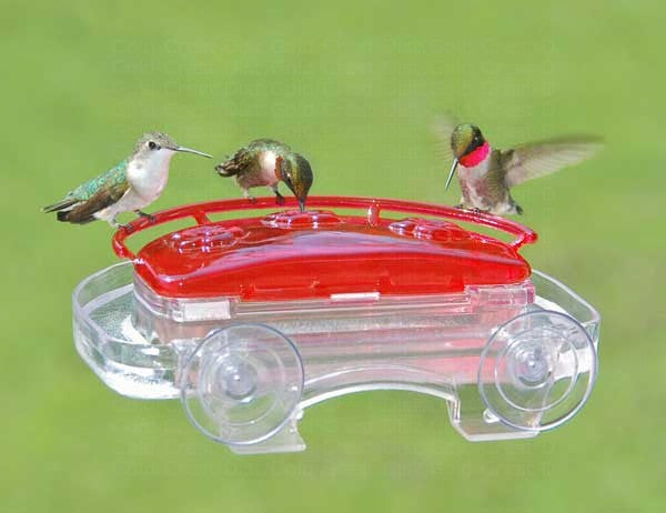 Jewel Box Window Hummingbird Feeder in use