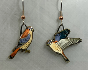 American Kestrel Earrings white background