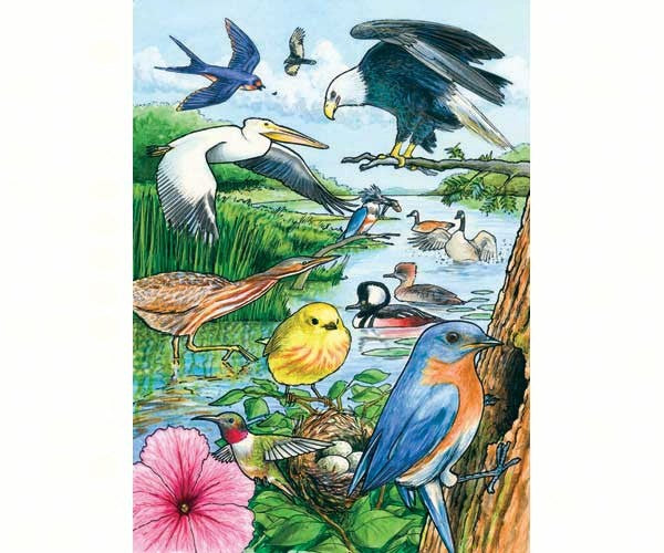 Cobble Hill North American Birds 35 Piece Tray Puzzle