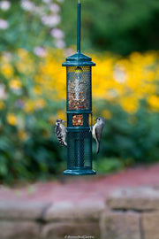 Squirrel Buster Nut Feeder