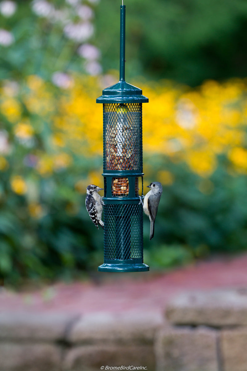 Squirrel Buster Nut Feeder