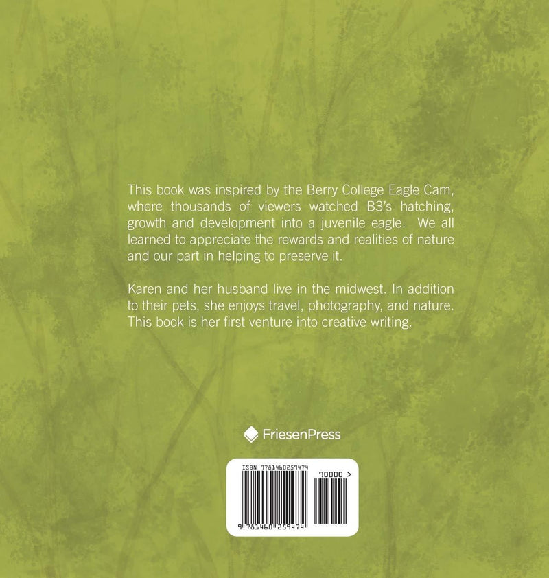 B3 baby eagle book by Karen Brooks