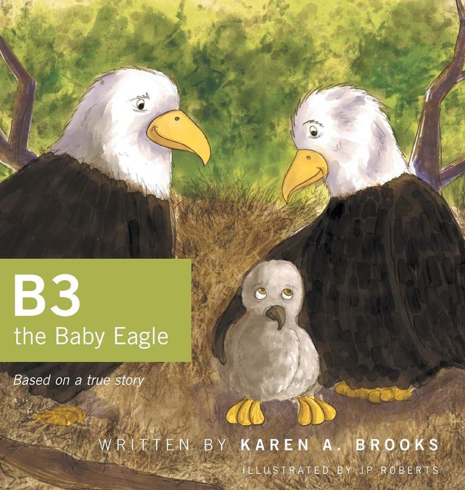 B3 the baby eagle book