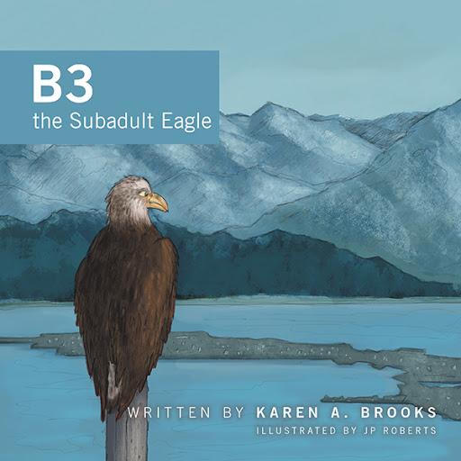 B3 the subadult eagle book