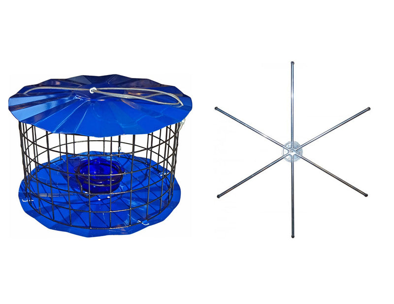 Barrier Guard Bluebird Feeder with Perch