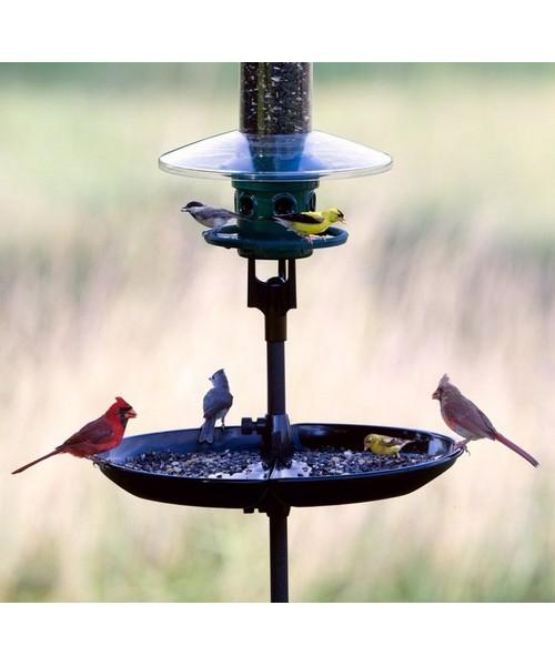 Brome seed buster tray feeder and seed catcher