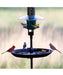 Brome seed buster tray feeder and seed catcher