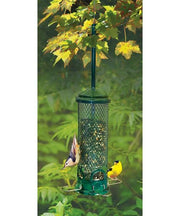 Squirrel buster mini bird feeder
