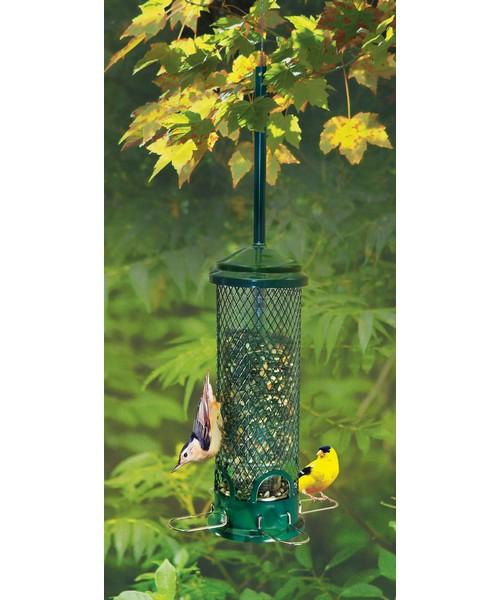 Squirrel buster mini bird feeder
