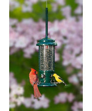 Squirrel proof bird feeder