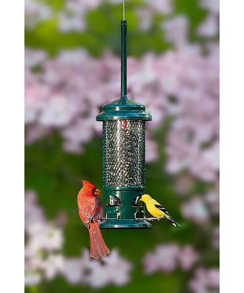 Squirrel proof bird feeder