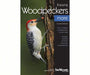 Enjoying Woodpeckers More