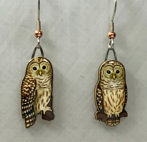 Barred Owl Earrings white background