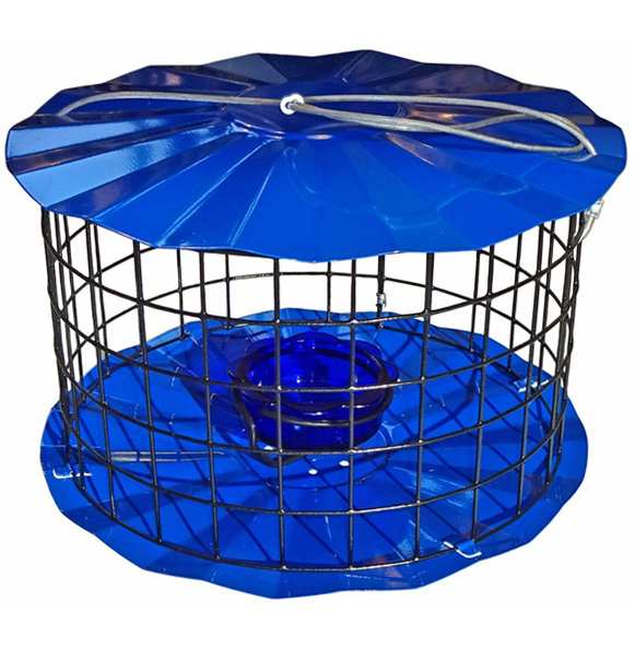 Barrier Guard Specialty Bluebird Feeder - Blue