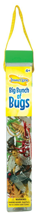 Insect Lore Big Bunch of Bugs