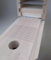 closeup of nestling egress ladder