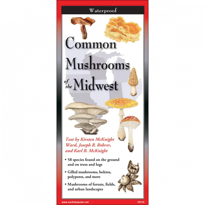 Common Mushrooms of the Midwest - Waterproof Guide
