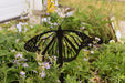 black male monarch garden stake