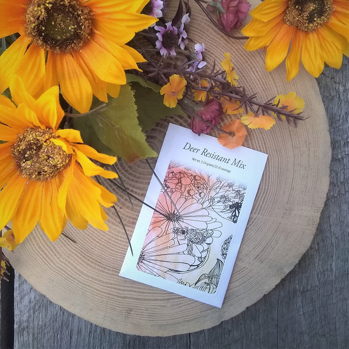 Wildflower Autumn Seed Sowing Kit